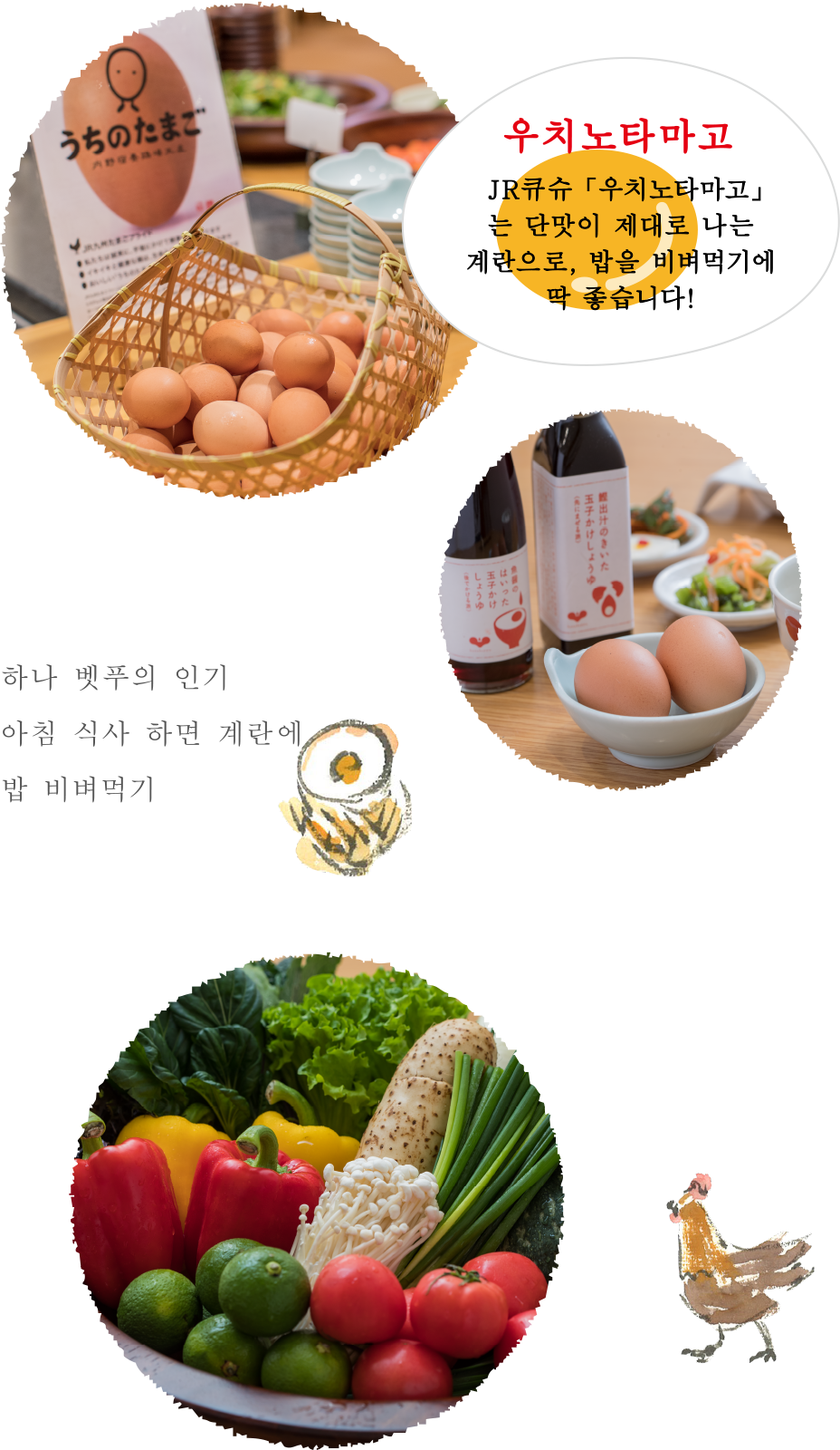 하나 벳푸의 인기 아침 식사 하면 계란에 밥 비벼먹기